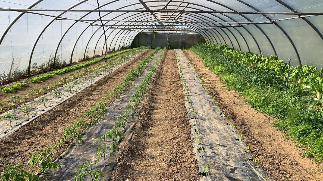 Agroturismo Urresti Gautegiz Arteaga Екстериор снимка